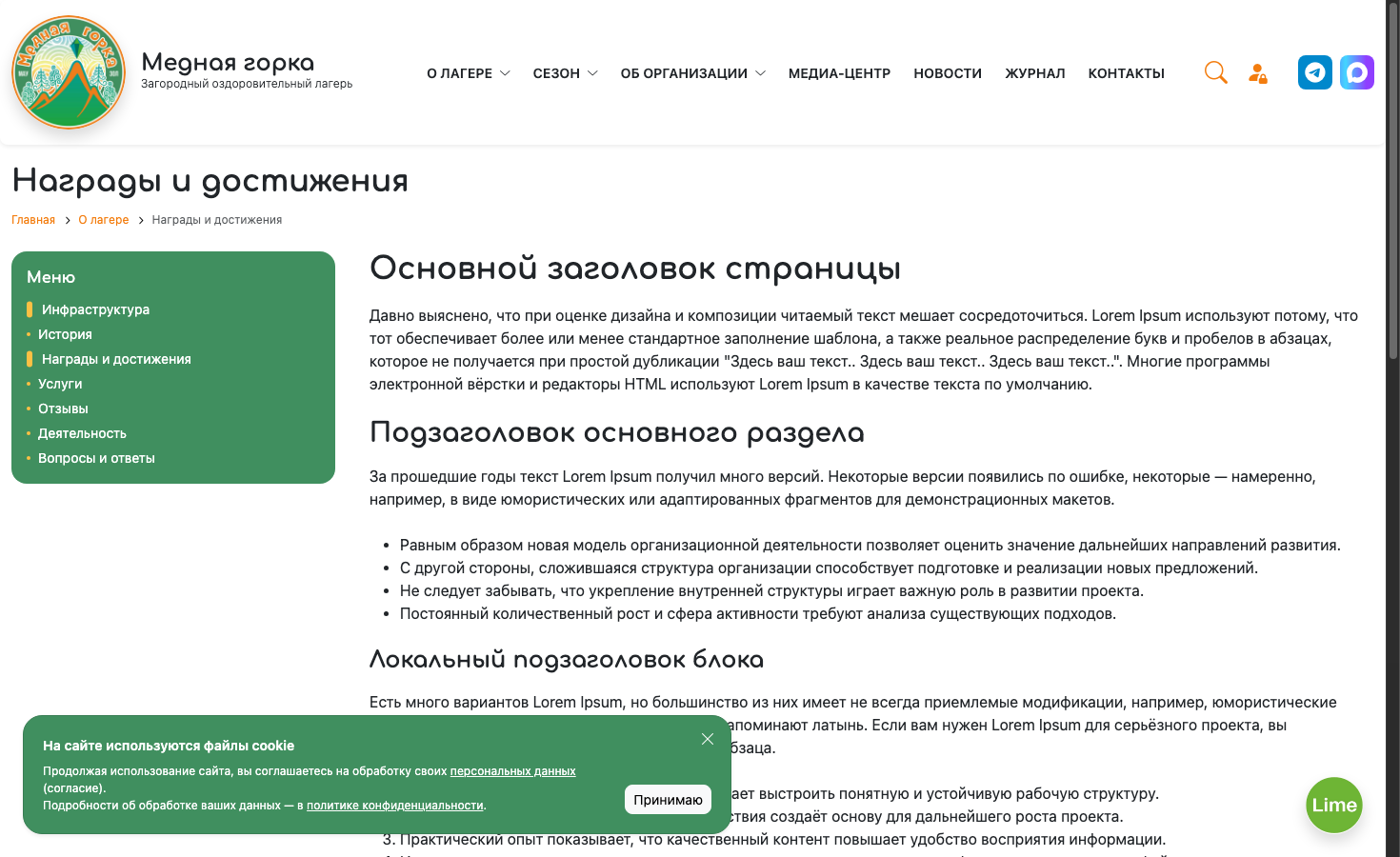 Награды и достижения
